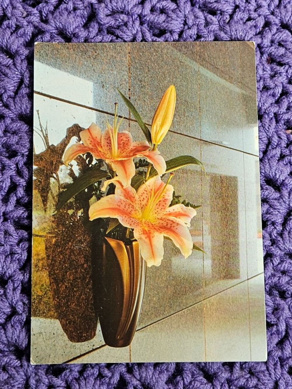 Resurrection Cemetery Clinton Township Michigan Postcard